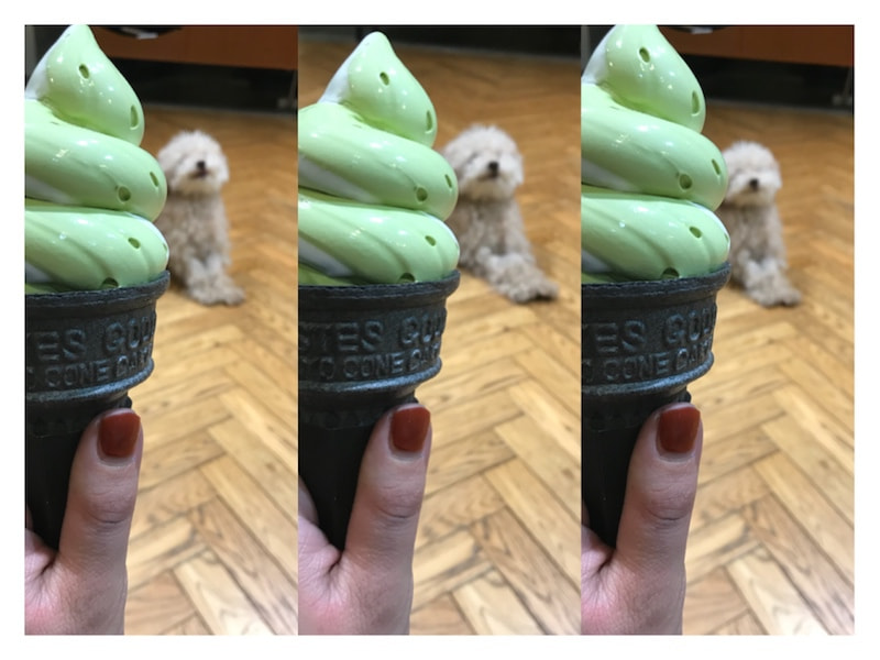 大名ソフトクリーム
