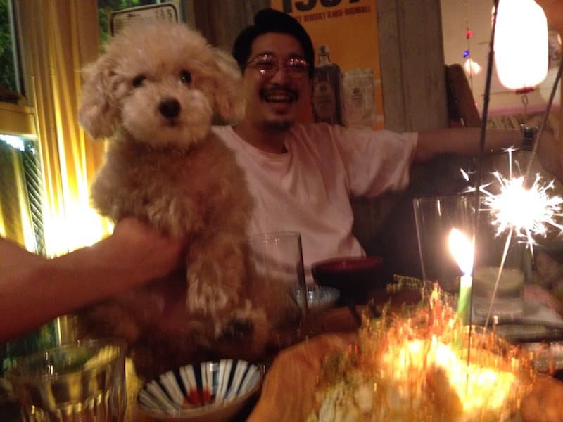 看板犬ナルトとケーキ
